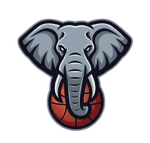 Nimra Talata Basketball Club Logo